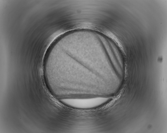 X0000097890924200804111014