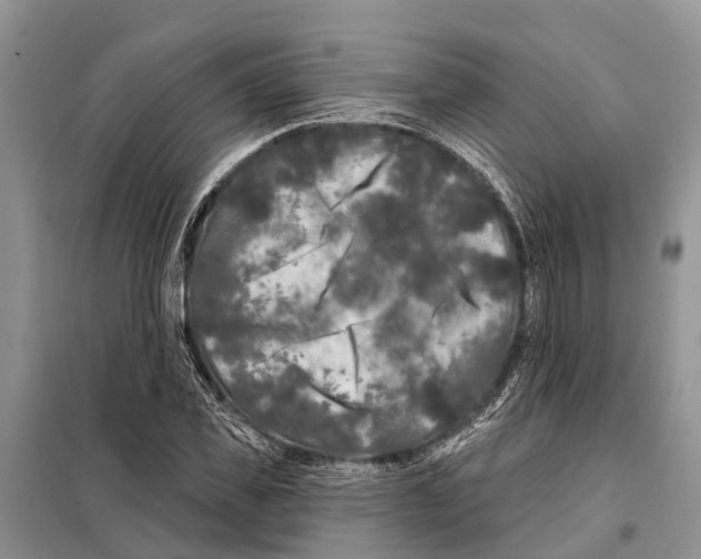 X0000097890925200804111014