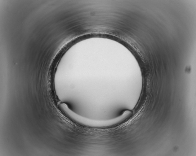 X0000097890926200804111014