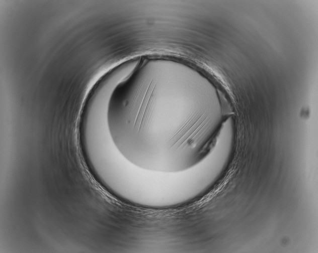 X0000097890928200804111014