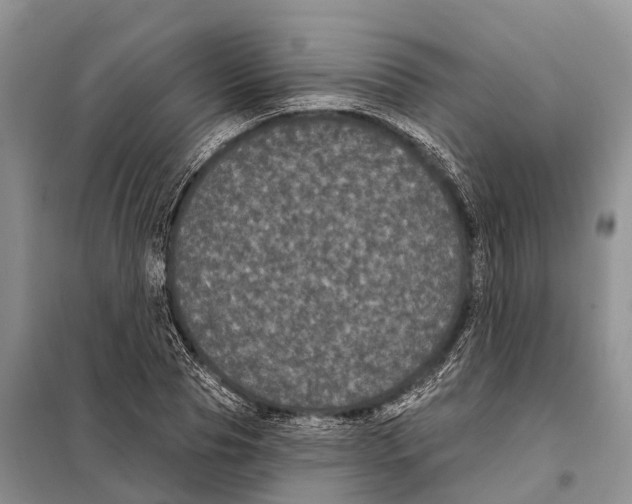 X0000097890929200804111014