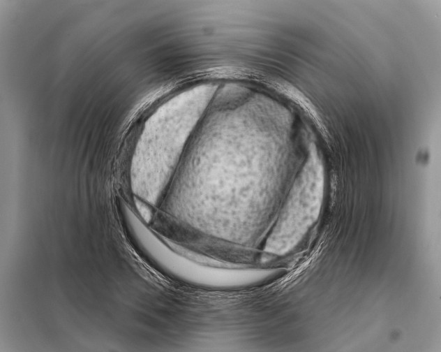 X0000097890930200804111014