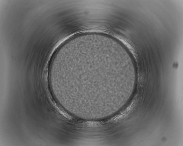 X0000097890933200804111015