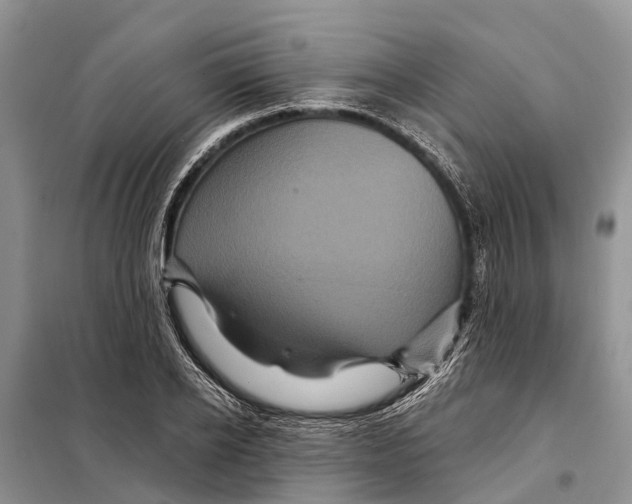 X0000097890934200804111015