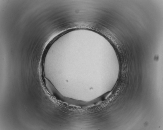 X0000097890936200804111015