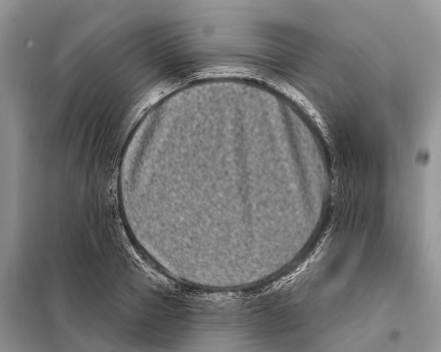 X0000097890937200804111015