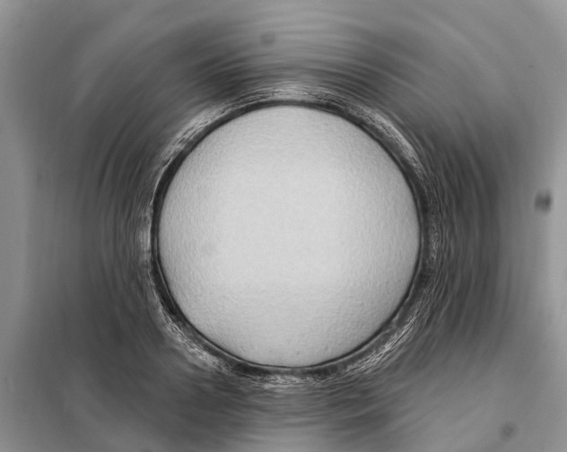 X0000097890938200804111015