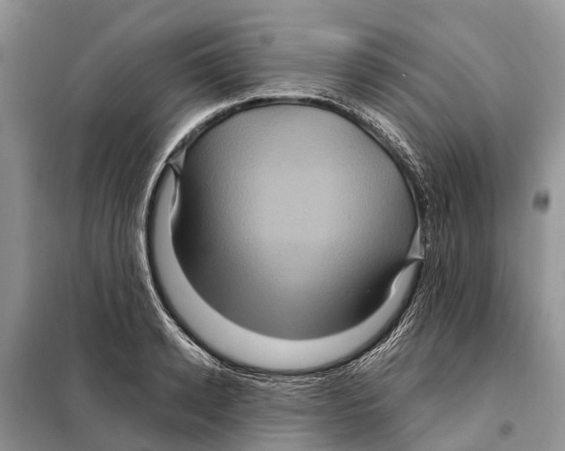 X0000097890942200804111015