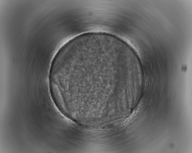 X0000097890943200804111015