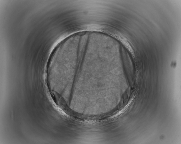 X0000097890944200804111015