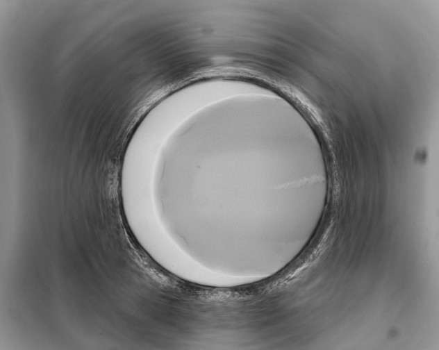 X0000097890945200804111015