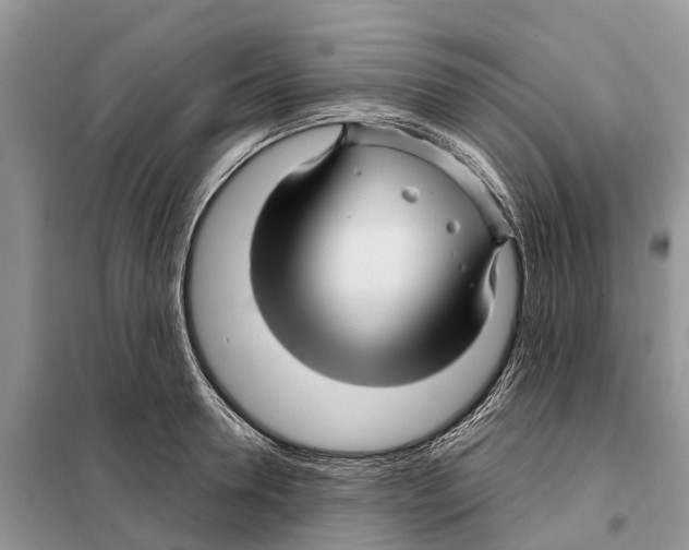 X0000097890946200804111015