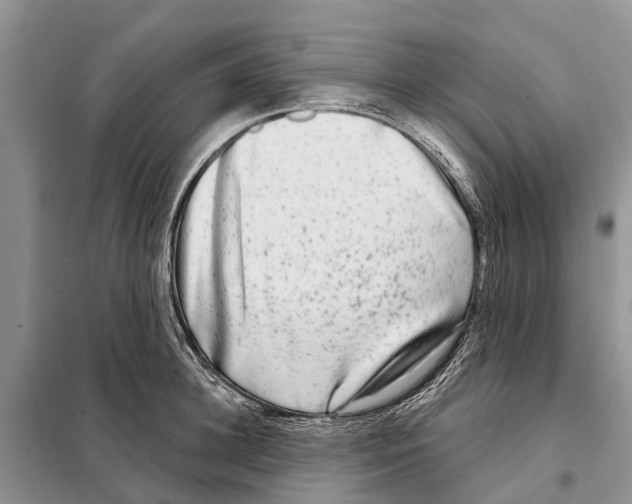 X0000097890948200804111015