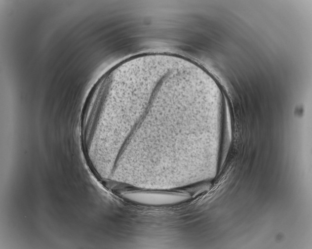 X0000097890951200804111015