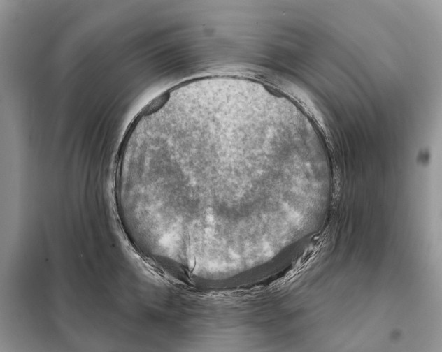 X0000097890952200804111015