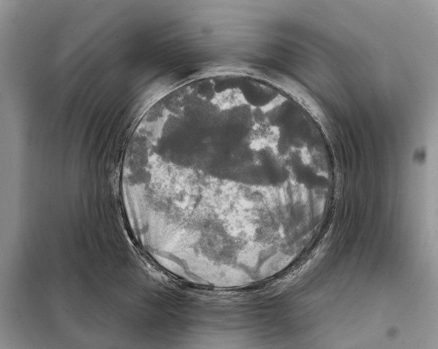 X0000097890953200804111015