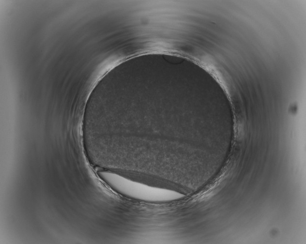 X0000097890954200804111015