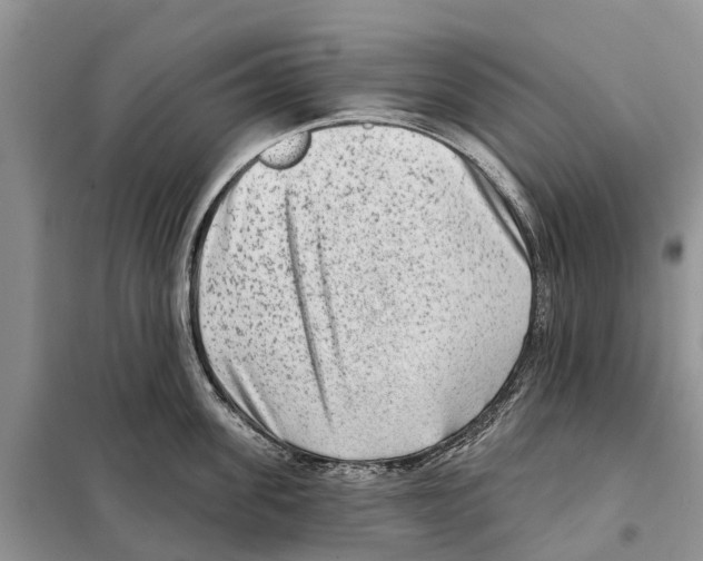 X0000097890955200804111015