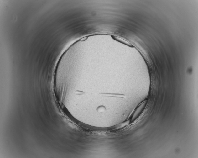 X0000097890956200804111015