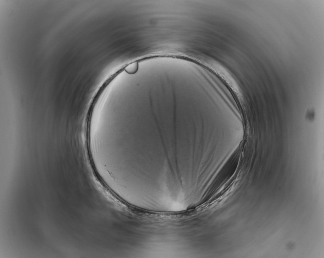 X0000097890958200804111015