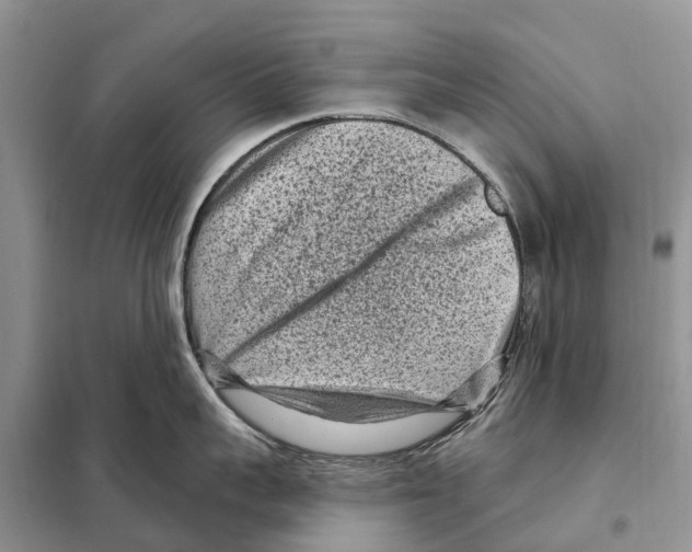 X0000097890959200804111015