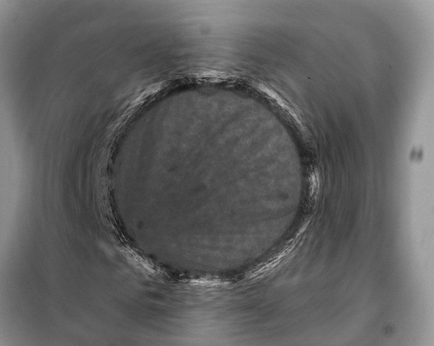 X0000097890961200804111014