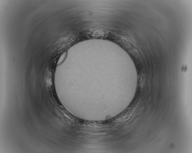 X0000097890962200804111014