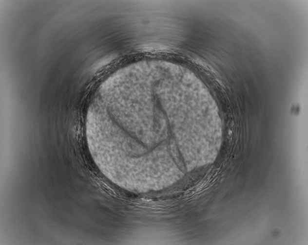 X0000097890966200804111014