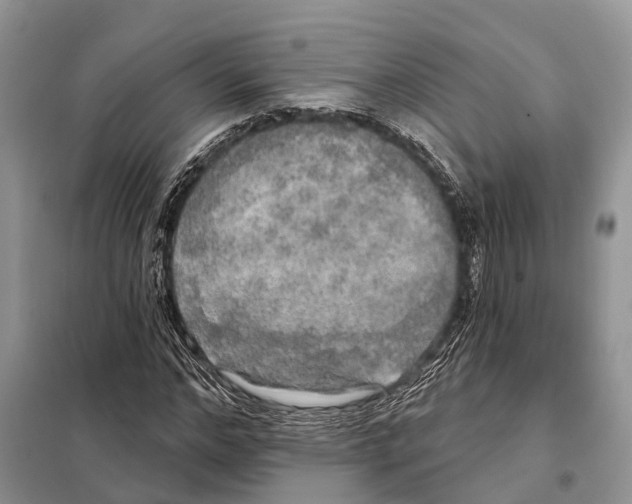 X0000097890968200804111014