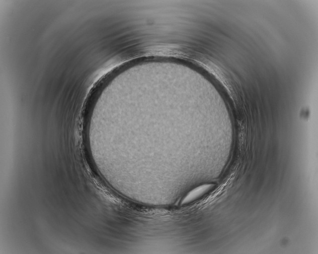 X0000097890971200804111014