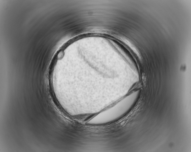 X0000097890972200804111014