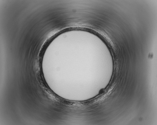 X0000097890974200804111014