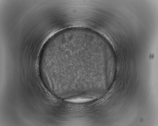 X0000097890975200804111014