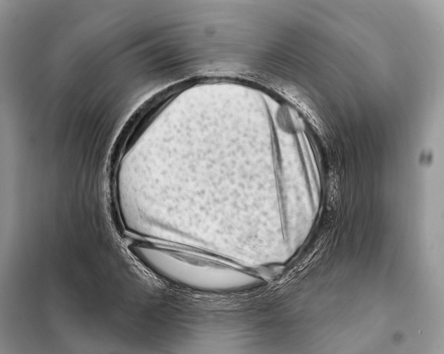 X0000097890976200804111014