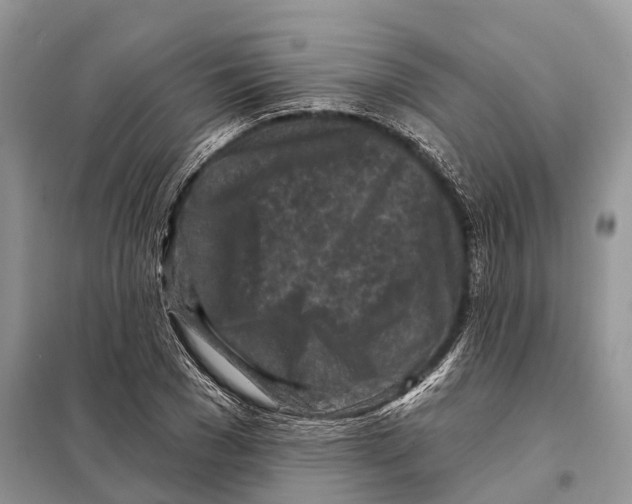 X0000097890977200804111014