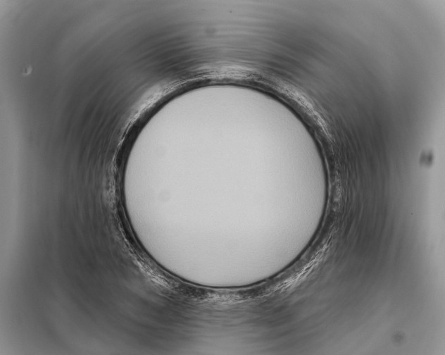 X0000097890978200804111014