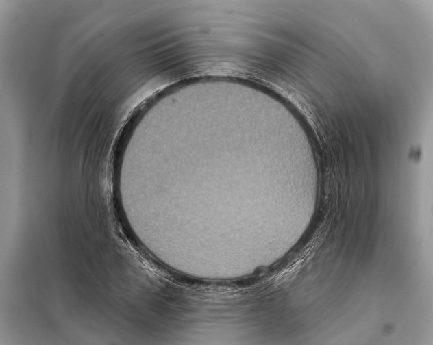 X0000097890979200804111014