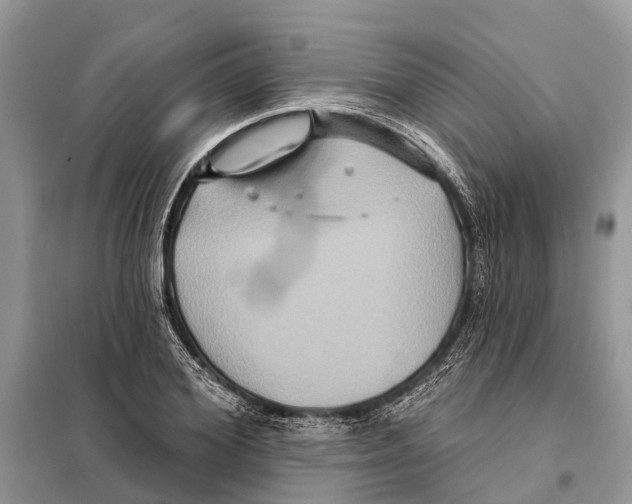 X0000097890980200804111014