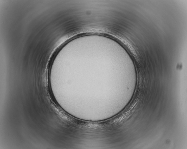 X0000097890982200804111014