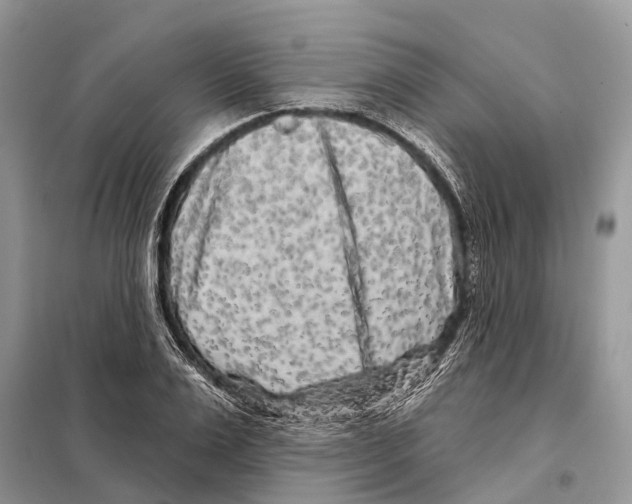 X0000097890983200804111014