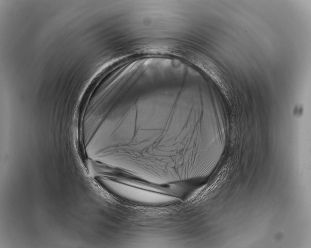 X0000097890984200804111014