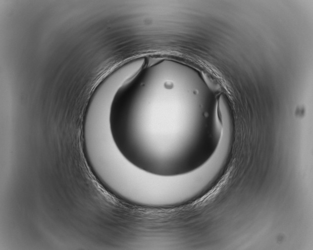 X0000097890985200804111014