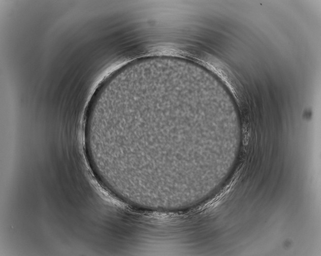 X0000097890987200804111014