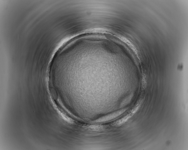 X0000097890989200804111014