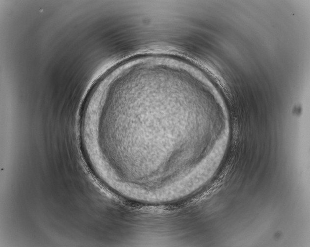 X0000097890990200804111014