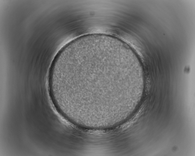 X0000097890991200804111014