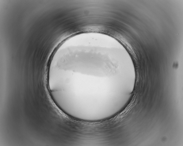 X0000097890992200804111014