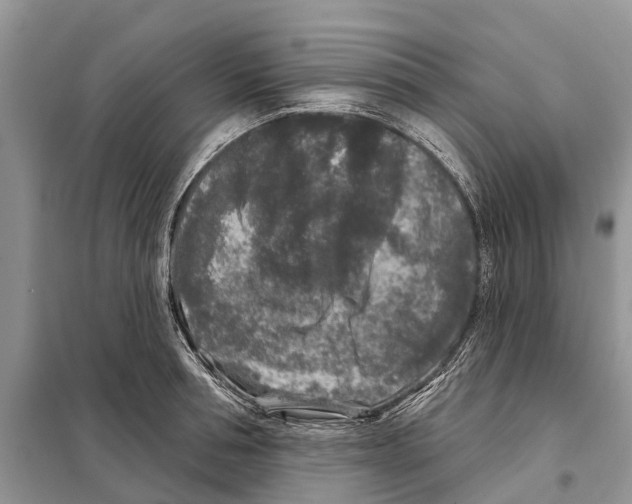 X0000097890994200804111014