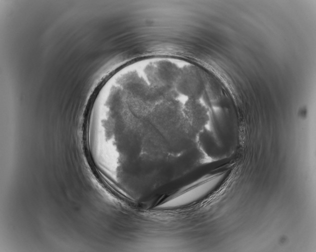 X0000097890995200804111014