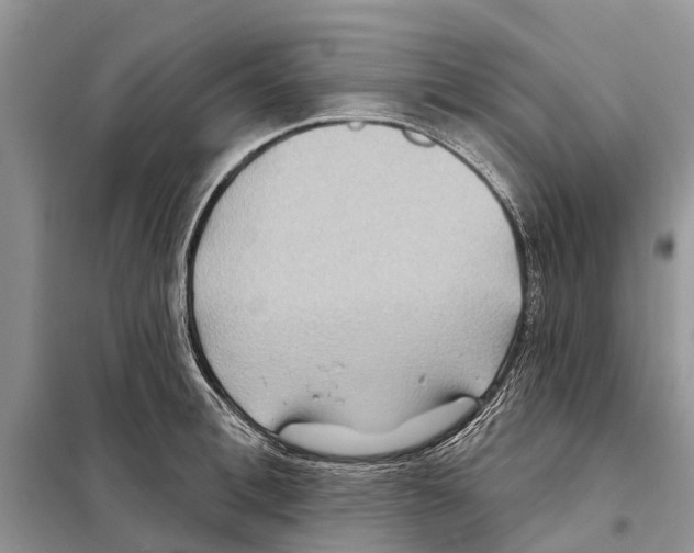 X0000097890996200804111014